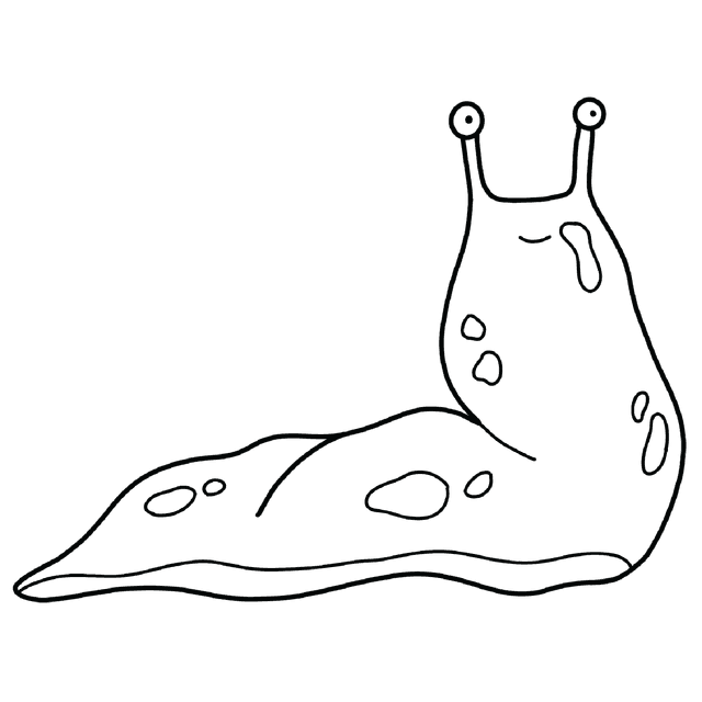 Slug